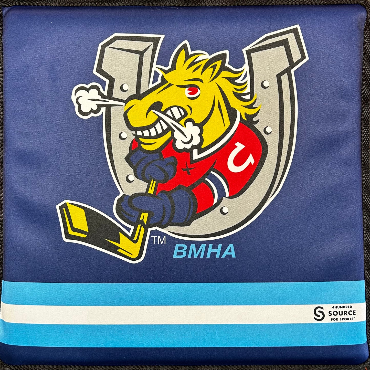Team Seat Cushion