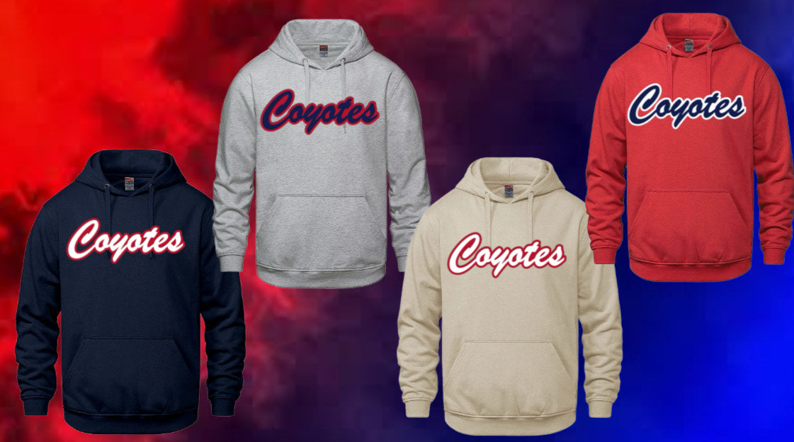 Yth. Dump & Chase Hoodie