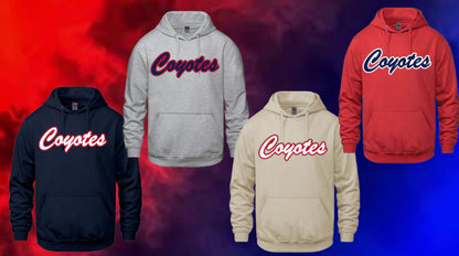 Yth. Dump & Chase Hoodie