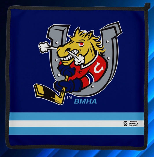 Team Seat Cushion